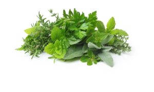 erbe aromatiche4